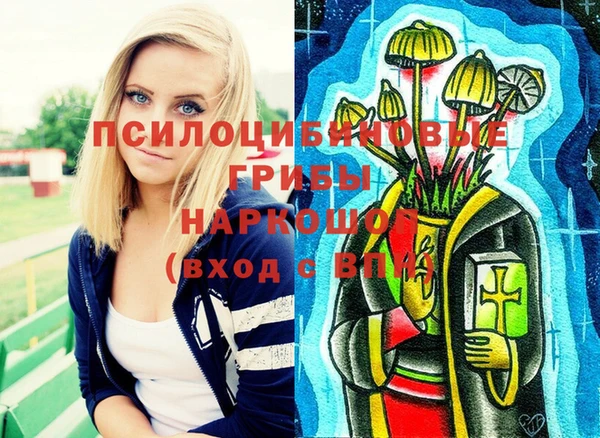 спиды Абинск